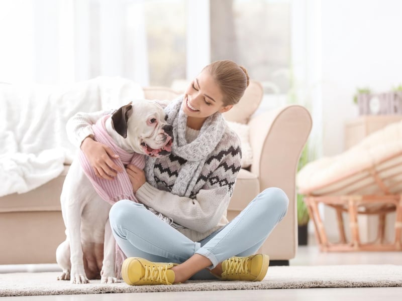 Boxers may not look particularly cuddly, but this is a dog that lives for affection. They particularly enjoy snuggling up for a nap with the younger members of the family.