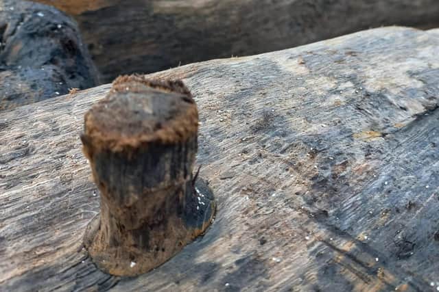 Dozens of tree pegs, or tree nails, can still be seen on the vessel. PIC: David Walker.