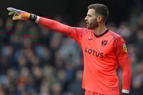 Angus Gunn has been in good form for Norwich City this season.