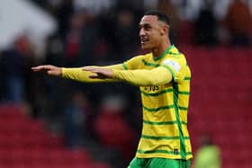 Celtic are expected to complete the loan signing of Republic of Ireland striker Adam Idah from Norwich City on transfer deadline day. (Photo by Ryan Hiscott/Getty Images)