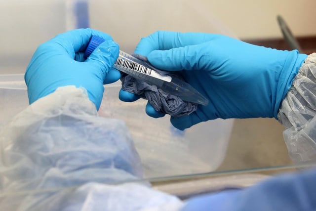 These are the ten areas in Scotland with the most new coronavirus cases between December 5 and December 11