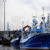 Birds circle above fishing boats and trawlers as they sit moored at Lerwick Harbour in Shetland (Picture: Andy Buchanan/AFP via Getty Images)