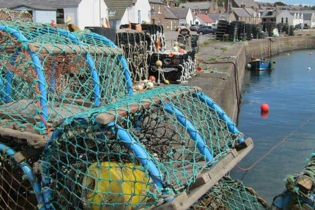 Johnshaven is the place to be on Saturday