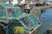 Johnshaven is the place to be on Saturday