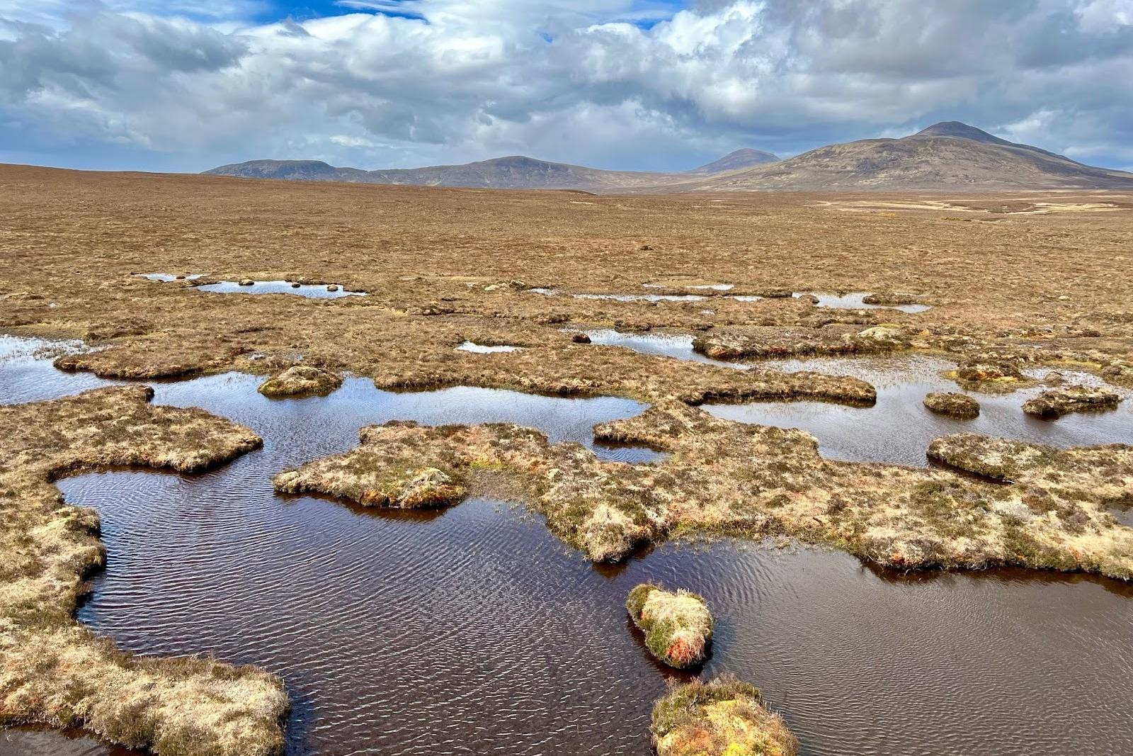 Flow Country Scotland: Peatland restoration could generate £400m for northern Highlands within 20 years