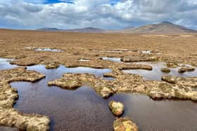 The Flow Country, stretching across 400,000 hectares in Caithness and Sutherland, is the largest expanse of blanket bog in Europe, storing an estimated 400 million tonnes of carbon – but almost half of it is degraded and in need of restoration to continue absorbing climate emissions. Picture: NHI