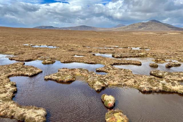 The Flow Country, stretching across 400,000 hectares in Caithness and Sutherland, is the largest expanse of blanket bog in Europe, storing an estimated 400 million tonnes of carbon – but almost half of it is degraded and in need of restoration to continue absorbing climate emissions. Picture: NHI