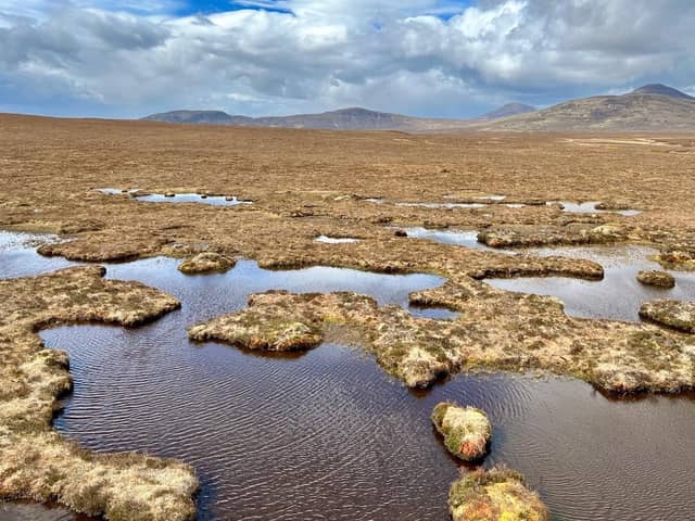 The Flow Country, stretching across 400,000 hectares in Caithness and Sutherland, is the largest expanse of blanket bog in Europe, storing an estimated 400 million tonnes of carbon – but almost half of it is degraded and in need of restoration to continue absorbing climate emissions. Picture: NHI