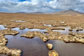 The Flow Country, stretching across 400,000 hectares in Caithness and Sutherland, is the largest expanse of blanket bog in Europe, storing an estimated 400 million tonnes of carbon – but almost half of it is degraded and in need of restoration to continue absorbing climate emissions. Picture: NHI