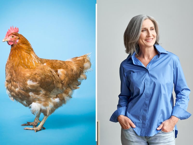 Referring to a woman as "hen" is considered a term of endearment, like dear or sweetheart, here in Scotland according to Highland Titles.