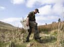 Head Ranger Scott Hendry