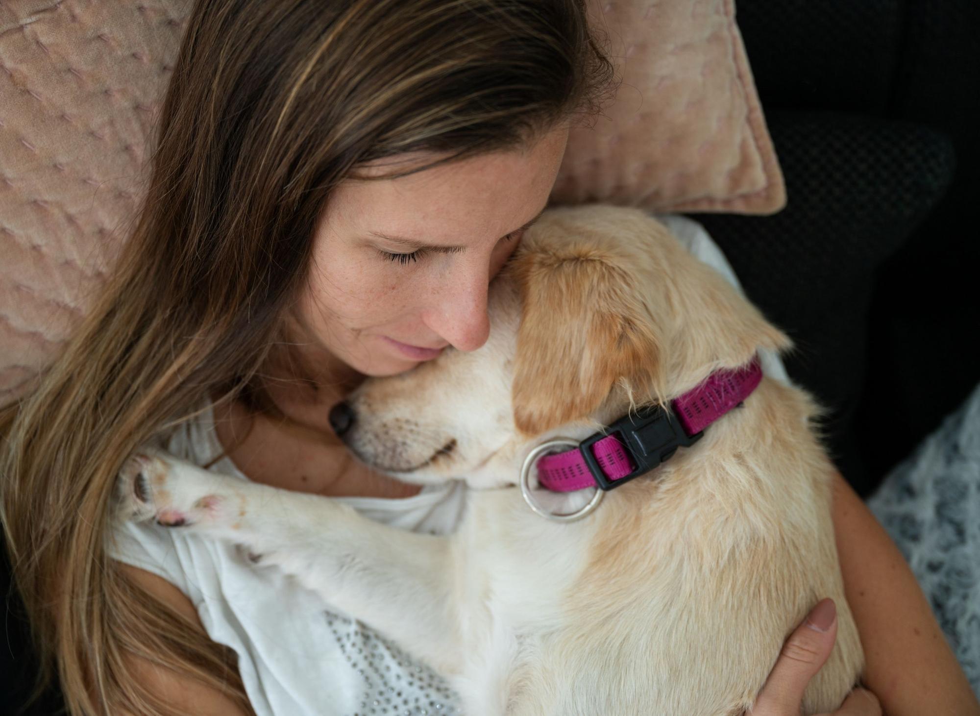 Most Loving Dogs: Here are the 10 affectionate breeds of adorable dog that  adore cuddles and pats - including the loving Labrador Retriever 🐕 | The  Scotsman