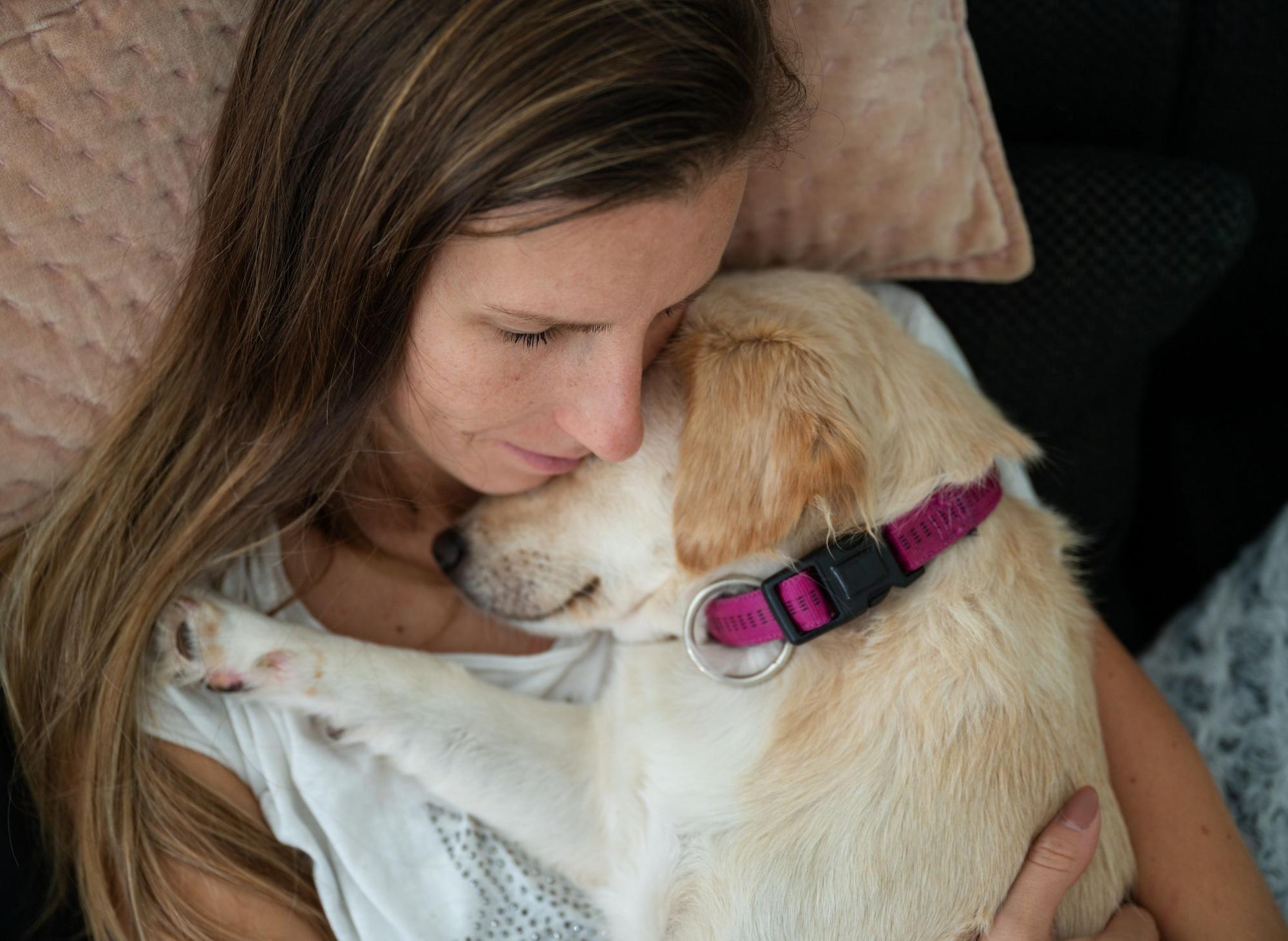 Most Loving Dogs: Here are the 10 affectionate breeds of adorable dog that adore cuddles and pats - including the loving Labrador Retriever 🐕 | The Scotsman Most Loving Dogs: Here are the 10 affectionate breeds of adorable dog that adore cuddles and pats - including the loving Labrador Retriever 🐕 | The Scotsman