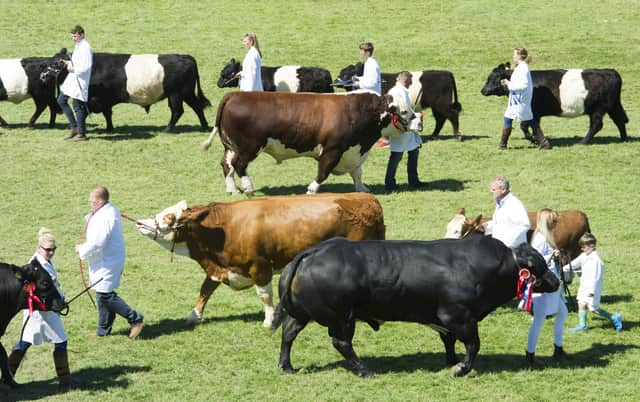 Covid scuppered this summer's Royal Highland Show