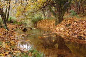 The LMP covers Fetteresso, Glenfarquhar and Drumtochty forests.