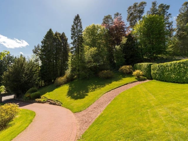 Driveway and gardens.