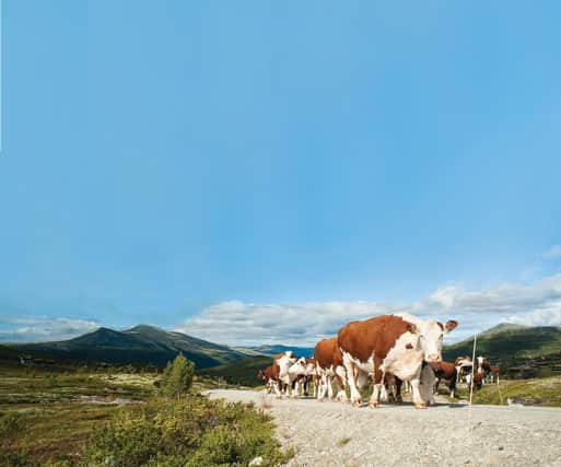 Picture: Shutterstock