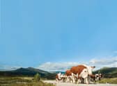 Picture: Shutterstock