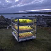 The Dandelion project is described as a 'reimagination of the harvest festival' in Scotland.