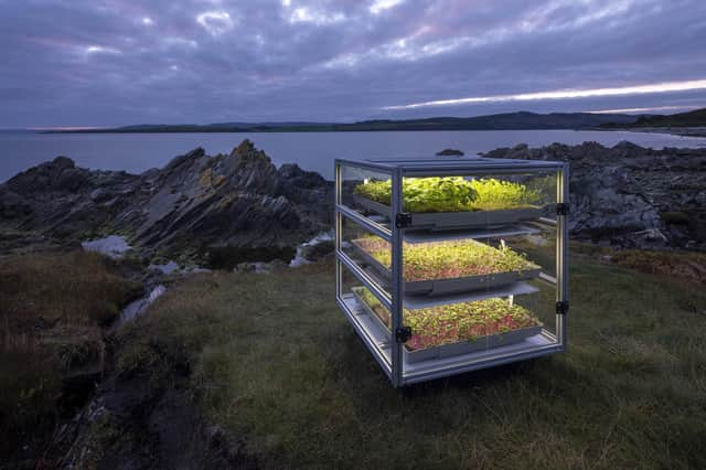 The Dandelion project is described as a 'reimagination of the harvest festival' in Scotland.