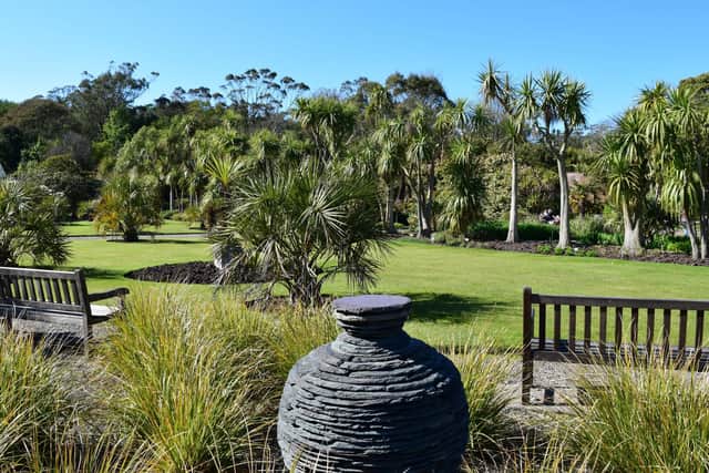 Art classes are being offered at Logan Botanic Garden, allowing budding painters to let their imaginations loose amid its 'exotic' landscape