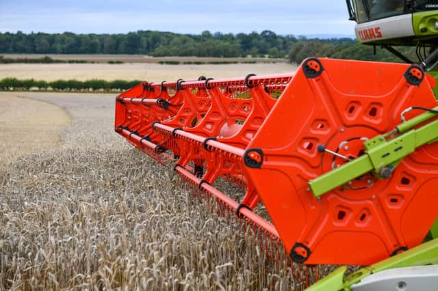 Cereal farming