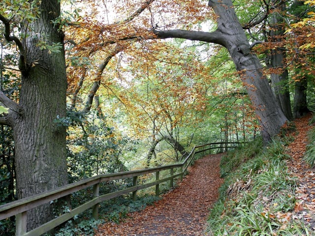 The walkway following the RIver Almond from Cramond Brig to Cramond village takes in a variety of woodland, including beech, oak and sycamore. Taking around two hours to complete, it's glorious to see the budding leaves on the trees after a long winter.
