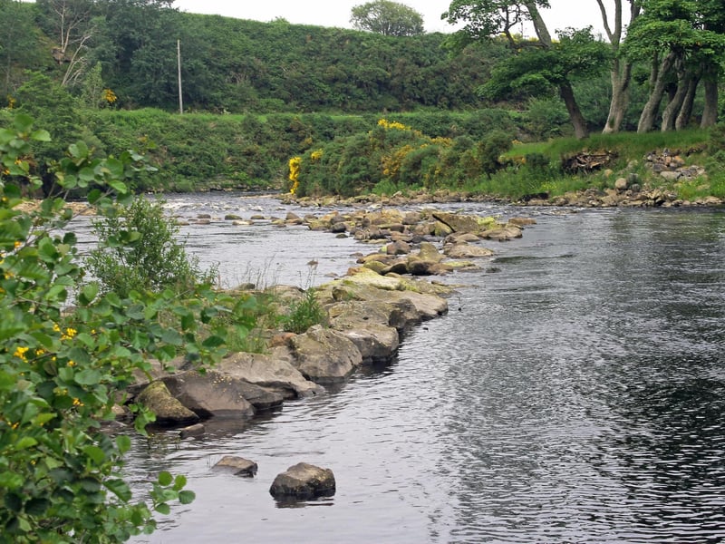 The River Brora flows through Sutherland, in the Scottish Highlands of Scotland, forming at Dalnessie, then travelling down Strath Brora to Dalreavoch, through Loch Brora to enter the Moray Firth at Brora. The Brora is a particularly good spring spring salmon river, from February to May. Both the river and loch also provide great sea trout fishing in July. It's difficult for visitors to get fishing on the Brora, but day lets can be found on the estuary and on the loch.