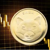 Shiba Inu coin price drops again in cryptocurrency crash - what Shiba Inu coin is and why it's down today (Image credit: Canva Pro)