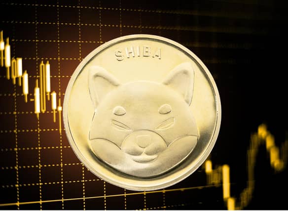Shiba Inu coin price drops again in cryptocurrency crash - what Shiba Inu coin is and why it's down today (Image credit: Canva Pro)