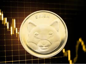 Shiba Inu coin price drops again in cryptocurrency crash - what Shiba Inu coin is and why it's down today (Image credit: Canva Pro)
