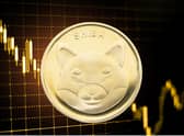 Shiba Inu coin price drops again in cryptocurrency crash - what Shiba Inu coin is and why it's down today (Image credit: Canva Pro)