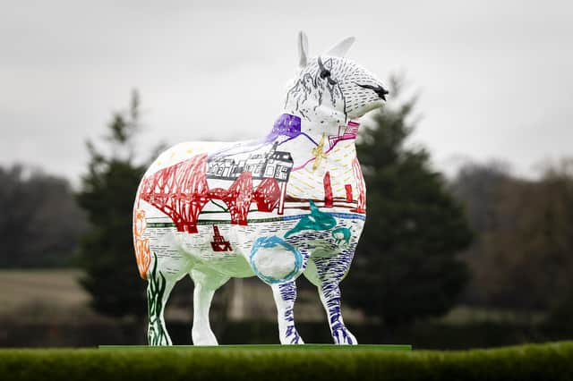 Esha by Anna Bilyk sponsored by Galloway & Macleod