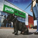 The Pets at Home chain has been boosted by a surge in demand for pets among Britons since the start of the coronavirus crisis while its essential status has allowed its stores to remain open throughout lockdowns.