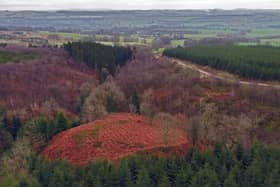 The site of Wallace's House in Dumfriesshire where the resistance leader is said to have hidden out with 16 ofhis men.