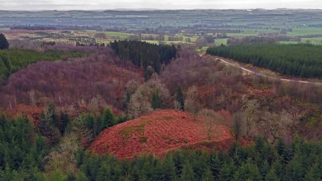 The site of Wallace's House in Dumfriesshire where the resistance leader is said to have hidden out with 16 ofhis men.
