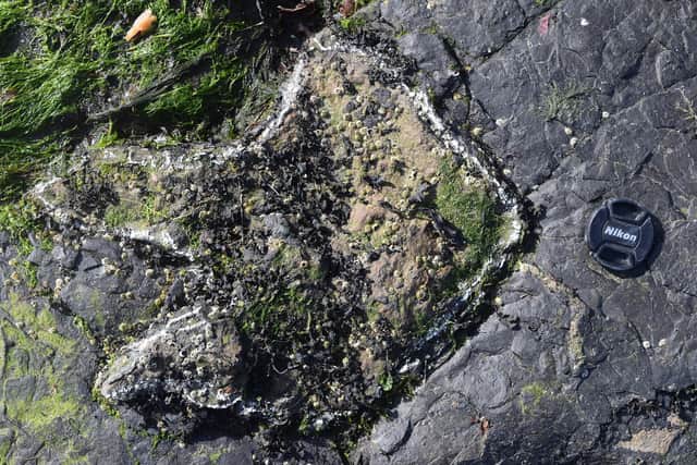 One of the 170m-year-old footprints fossilised in rocks on the Trotternish peninsula on Skye