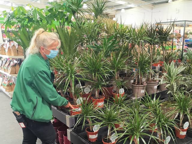 Garden centres in Scotland will be allowed to open from Friday with social distancing measures in place