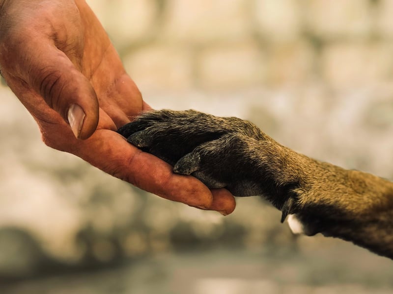 “The fact is that no species has ever had such wholesale control over everything on earth, living or dead, as we now have. That lays upon us, whether we like it or not, an awesome responsibility. In our hands now lies not only our own future, but that of all other living creatures with whom we share the earth.”
