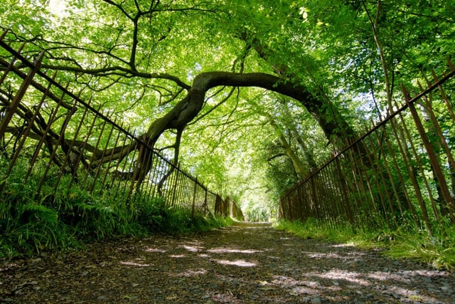 A short circular walk will take you around the Brad Hills, one of the seven hills on which Edinburgh is traditionally said to be built, and promises superb views along the way, including of Arthur's Seat.