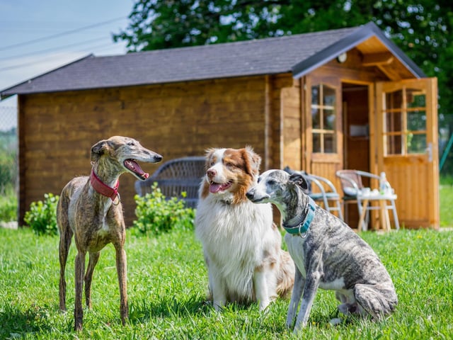 If you don’t want your pets anywhere near your flowers, shrubs and veggies, use decorative fencing as borders or barriers so they can’t access them.
