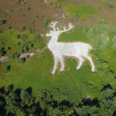 Volunteers cleared the whole area of bracken, weeds and small trees and then overturned all the stones to reveal the landmark once again. PIC: Douglas Simpson/ Mormond Hill Stag Group