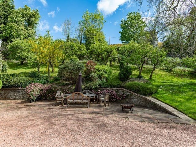 Garden.