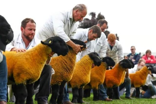 The inquiry's Angus dates clash with this year's Royal Highland Show. (Pic: Lisa Ferguson)