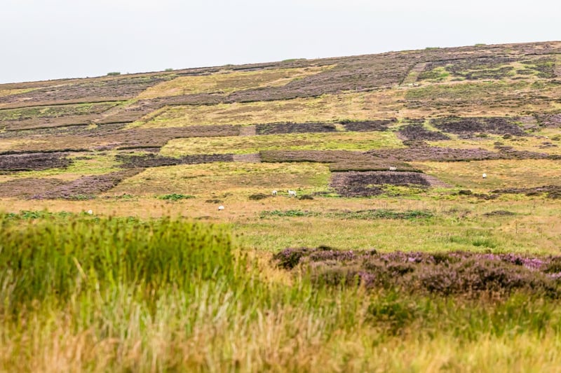 Light pollution maps of central Scotland show that one of the darkest places is the Lammermuir Hills. Just a short drive from Edinburgh, they are in East Lothian, just to the south of Haddington.