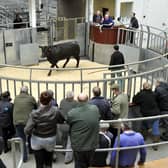 Livestock market reports no longer appear in the Press