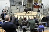 Livestock market reports no longer appear in the Press