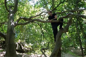 Tree climbing expert Rory Ferguson said that the hobby requires use of mental skill and compound muscle movement.