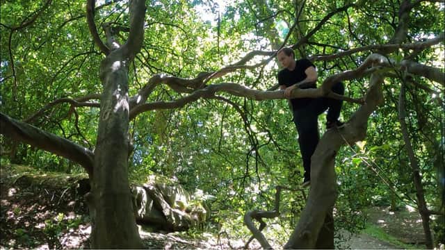 Tree climbing expert Rory Ferguson said that the hobby requires use of mental skill and compound muscle movement.