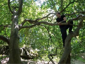 Tree climbing expert Rory Ferguson said that the hobby requires use of mental skill and compound muscle movement.